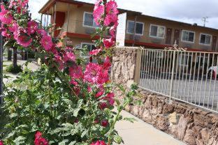Fullerton Lodge Rom bilde